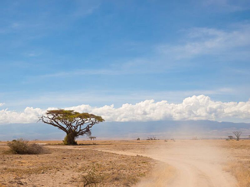 Conduire vers la réserve nationale du Masai Mara et logement à l'extérieur du parc