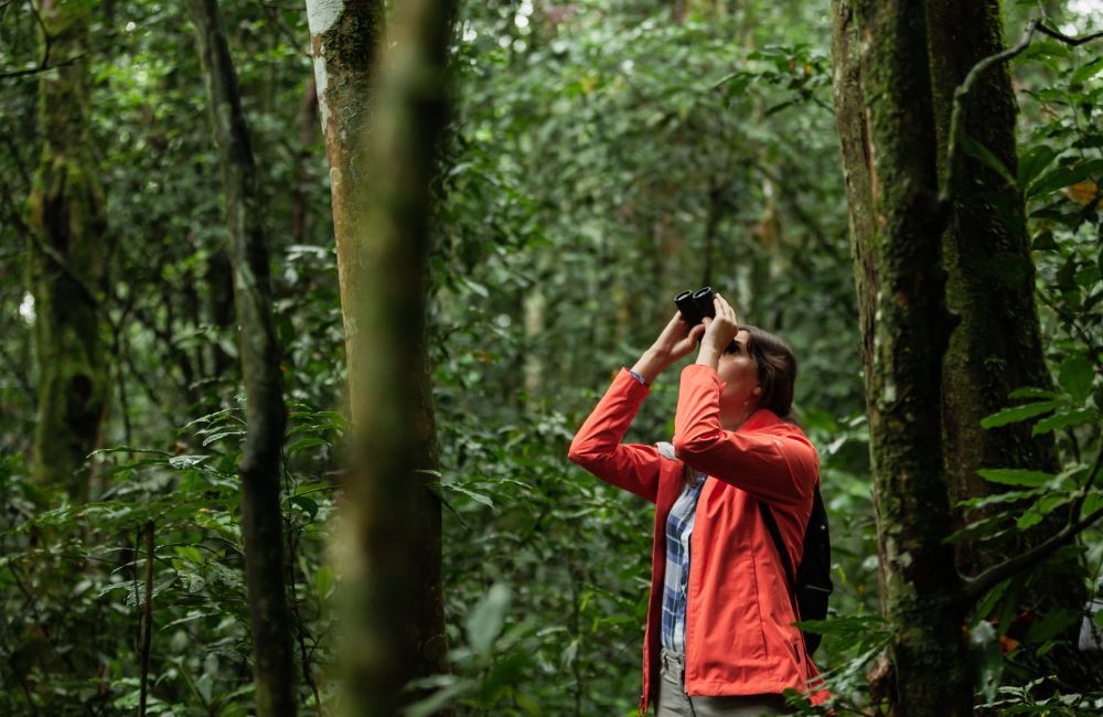 Touriste dans la forêt de Kibale