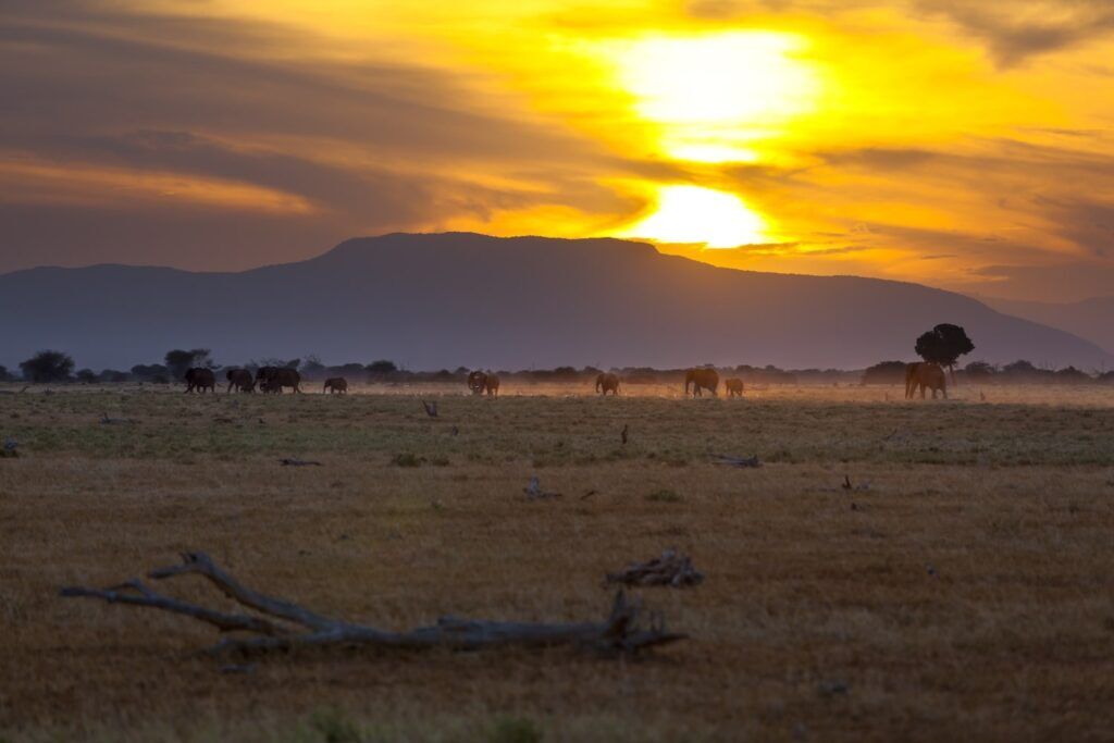 Tsavo-East-National-Park