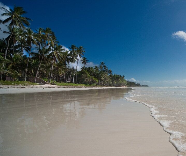 Diani Beach, destination parfaite pour visiter le Kenya pendant la saison sèche