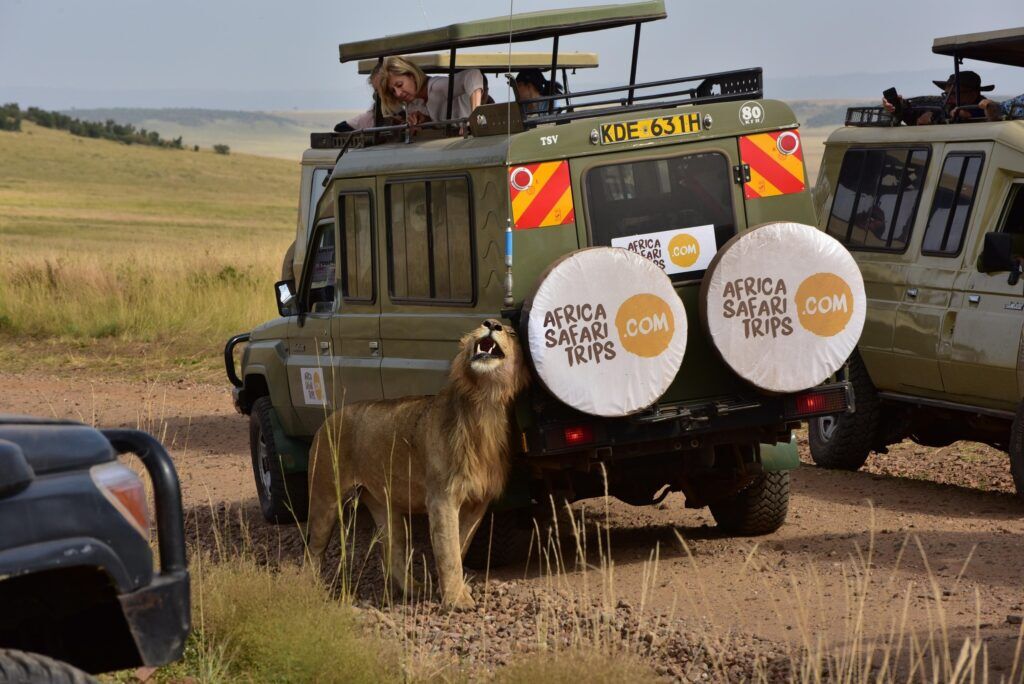 Véhicule de Safari En Afrique au Kenya