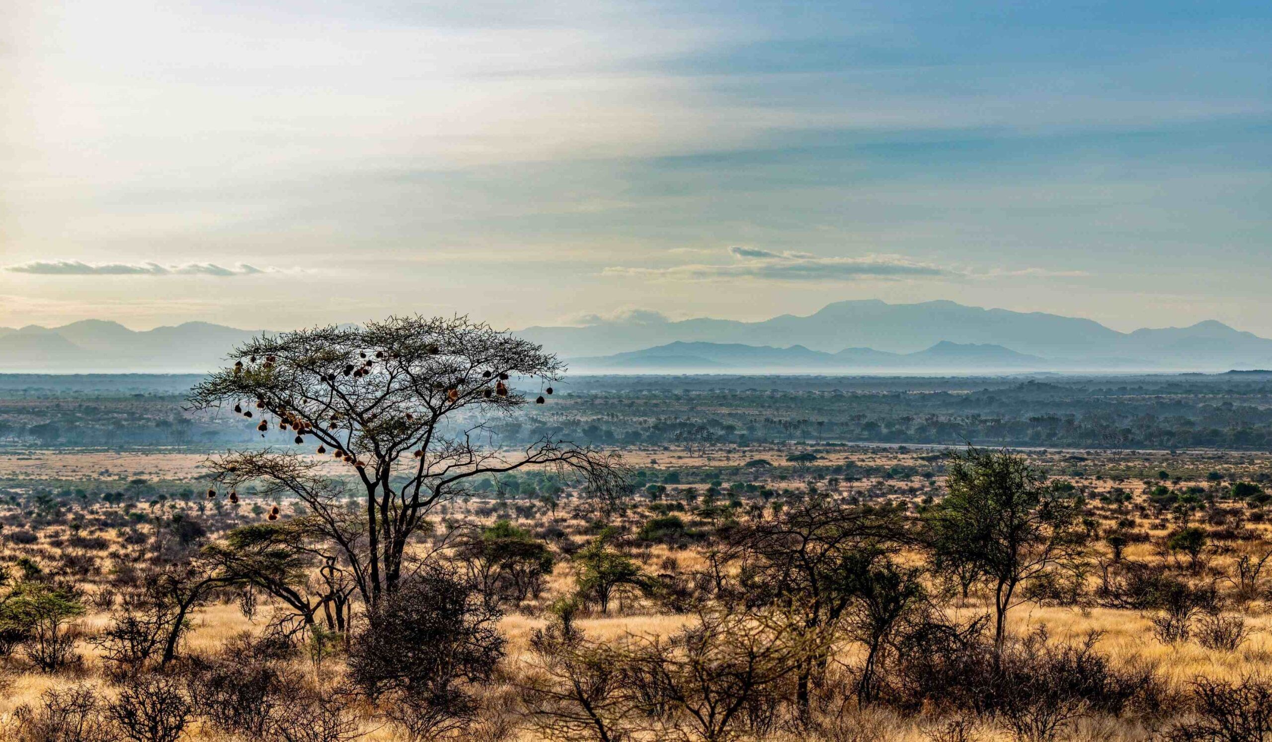 Réserve nationale du Samburu