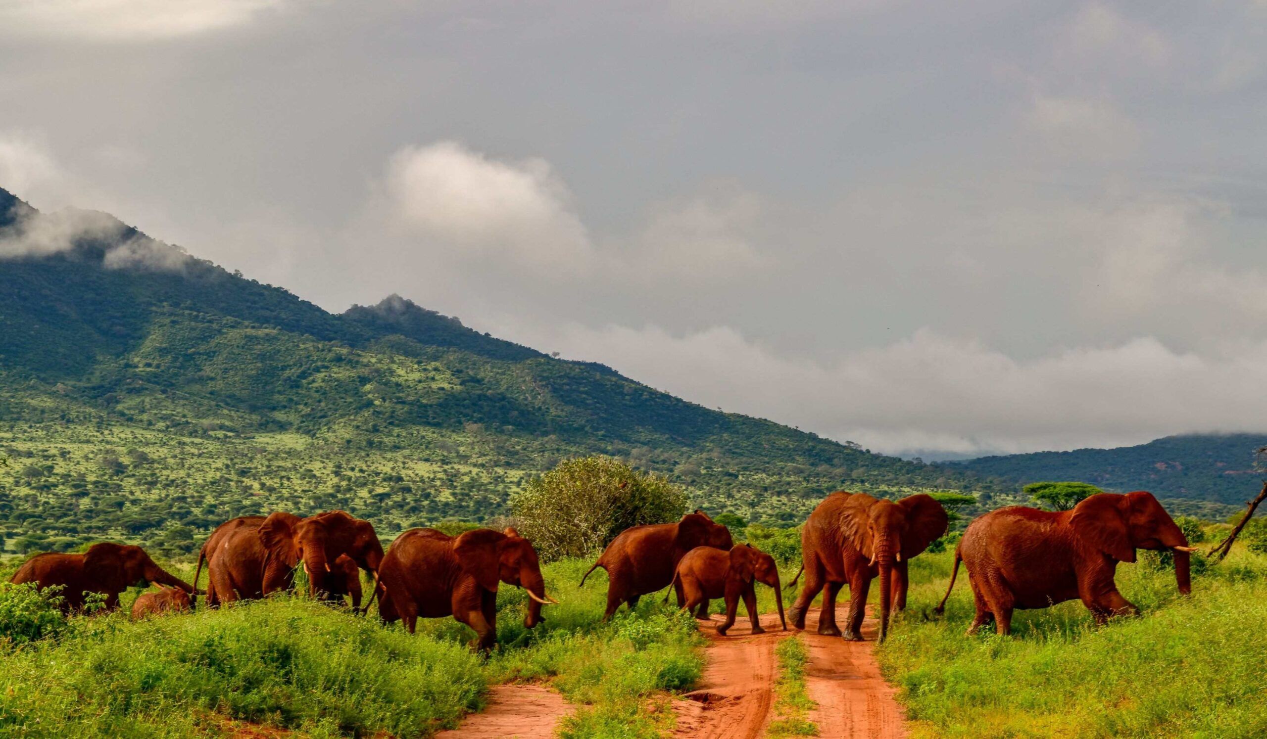 Parc national de Tsavo West