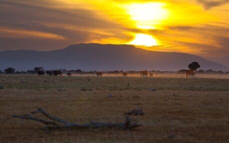 Tsavo-East-National-Park