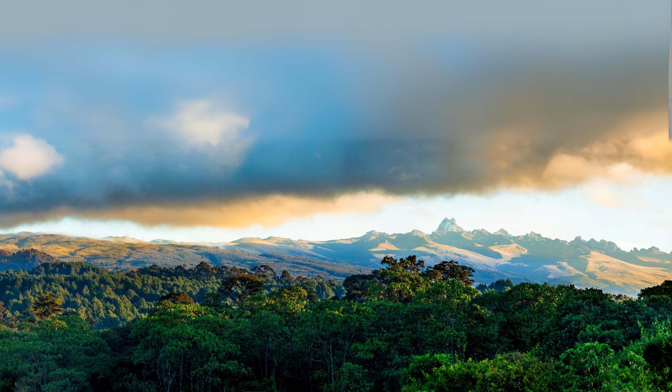 Sirimon Route 5 jours, Jour 5: Old Moses (3,300m) - Sirimon Gate - Nanyuki