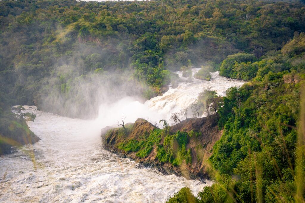 Ouganda safari chutes de Murchison