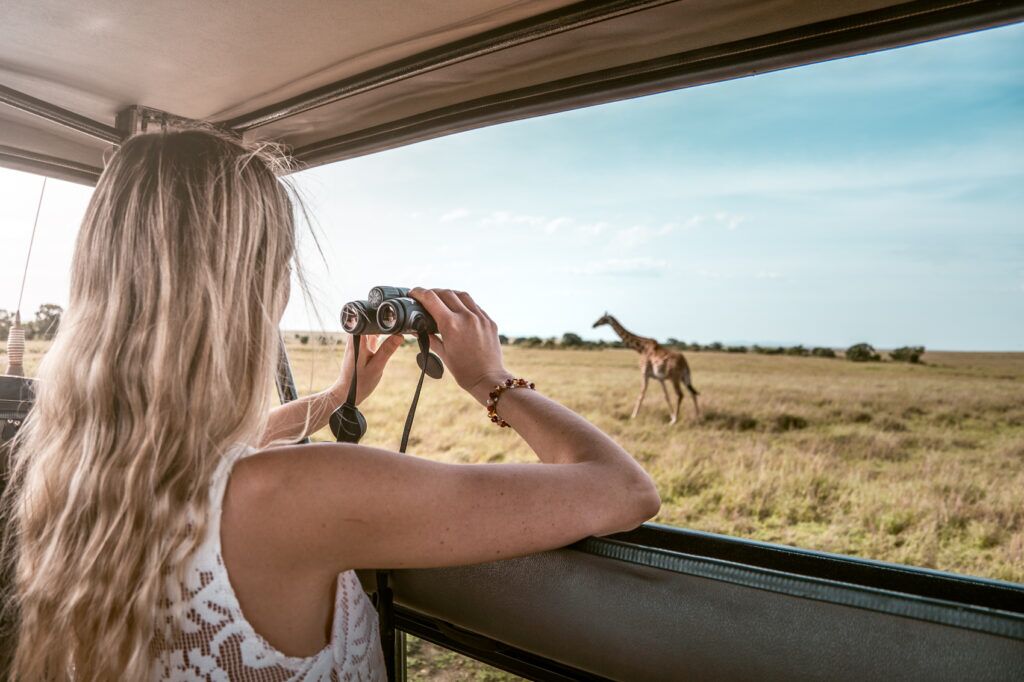 Kenya safari giraffe Rani