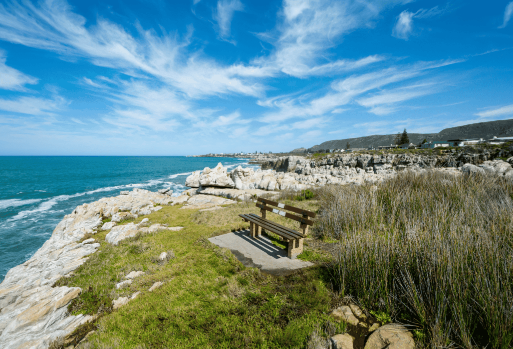 Sentier des Falaises à Hermanus avec vue sur l’océan
